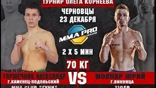 MMA PRO UKRAINE - 8 :  Александр Горшечник VS Юрий Молнар