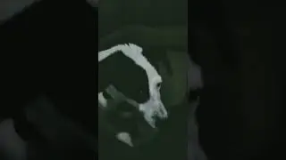 ❤️🥰🥰🥰🤣🤣привет