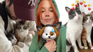 NUEVO INTEGRANTE EN LA FAMILIAA 🐶