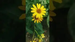Скоро осень, господа! Скоро осень...