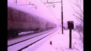 TRENI NELLA NEVE