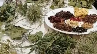 Травы для шиншилл.