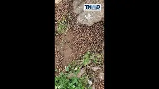 This really bugs us