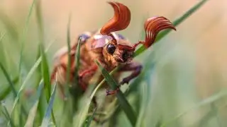 #photographycompetition