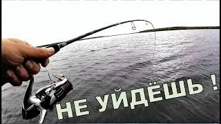 Клёв рыбы в ветер. Влияние ветра на клёв. Щука. Окунь. Судак