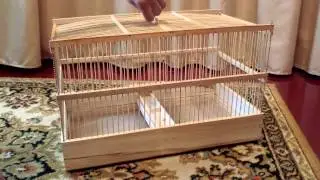 Cage with a sliding wooden trough