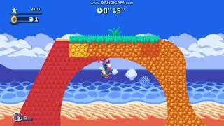 Petit Hedgehog