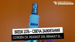 СВЕЧА ЗАЖИГАНИЯ Пежо 206, Рено 21 (1376)