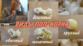 ВИДЫ ПОП-КОРНА