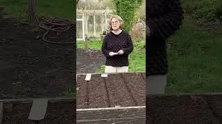 Hochbeet Pflanzplan Teil 1 I der kleine Horrorgarten