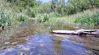 Река Альма