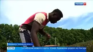 Вести от 29 06 18