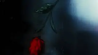 The Weeknd - The Birds Pt.  2 (Slowed + Reverb)