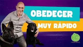 Trick to GET an OBEDIENT DOG in ONE WEEK (or Less)