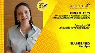 Conbrapi 2024 | Elaine Basso, GeoApis