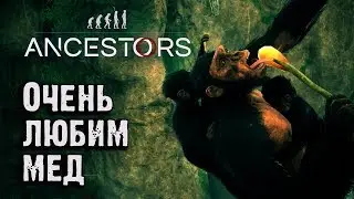 Как добывать мед. Ancestors - The Humankind Odyssey