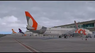 [X-Plane] Boeing 737-800 | [SBSP] - [SBRJ] | ON IVAO | FlyCheck Livestream | Live Relâmpago