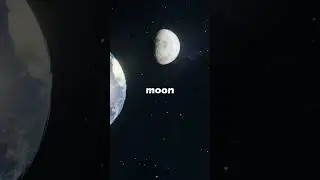 Earth is getting a new Moon?