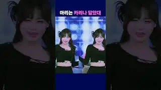 pandatv 