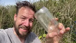 How To Protect Seedlings From Frost