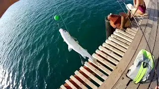 РЫБАЛКА НА МОРЕ