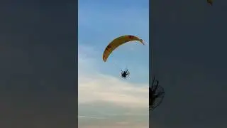 New entertainment in Miami