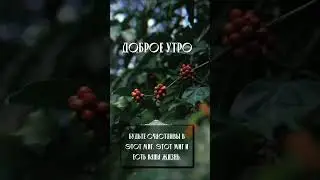 доброе утро