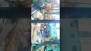 Kyauktaw_city_Palaung_Village_bad_conditions_2024_Arakan_army_and_Burma_military_ Fight_in my villag