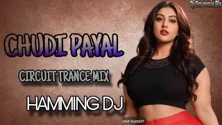 chudi payal nagpuri Dj song || new nagpuri Dj || Dj Sm remix Bls