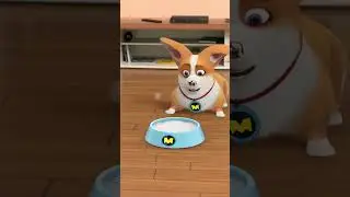 Flying MOCO🐶 | Sleepy Dog 犯困 | Flying MOCO Shorts 爆笑飛狗MOCO (2024)