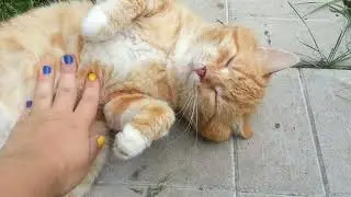 #папа пилит яблоню