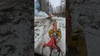 ГАРЫНЫЧ и МТЗ 82 на валке леса!