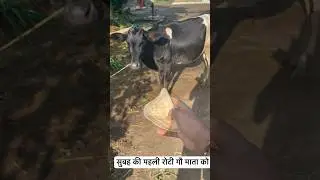 अच्छा लगता हैं 🙏 