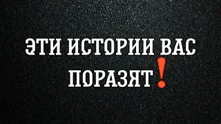 Эти истории вас поразят !