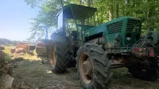 chantier forestier presque fini bois de chauffage 2023 