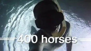 Boat Trip