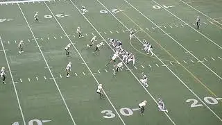 Montreal Alouettes QB Cody Fajardo throws a 38-yard pass to Charleston Rambo vs. Edmonton Elks 8/25