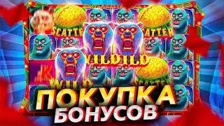 САМАЯ ЛУЧШАЯ СЕССИЯ КАЖДАЯ БОНУСКА ЗАНОСИТ Я В ШОКЕ С Zombie Carnival