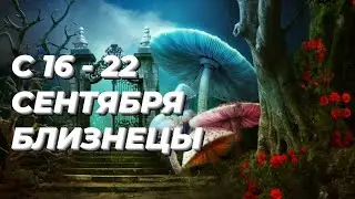 ❤️БЛИЗНЕЦЫ. ♊️С 16 - 22 сентября 2024.♊️