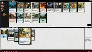 Using NPPs and learning MTGO