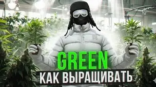 САМАЯ ЛУЧШАЯ РАБОТА НА MAJESTIC RP ЗАРАБОТОК 500 ТЫСЯЧ В ЧАС НА СЕМЕНАХ GREEN? (гайд на семена грин)
