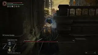 Elden Ring - Play Smarter, not Harder