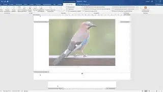 word колонтитулы2