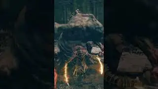 Elden Ring Shadow of the Erdtree - Testing the back hand blade #eldenring #shadowoftheerdtree #games