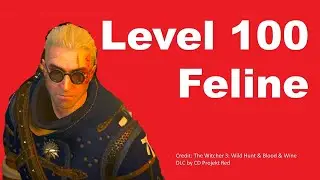 You Must Get Level 100 Cat School Witcher Grandmaster Gear, En, Sup, Master crafting feline 