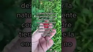 Cambiará tu energía inmediatamente