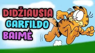 KOVA DĖL LAZANIJOS!
