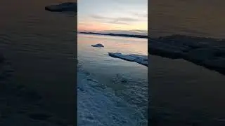 19 июня 2024 г.