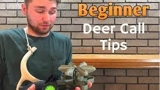 Beginner Deer Calls and How to Use Them