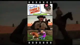 Cat Herders